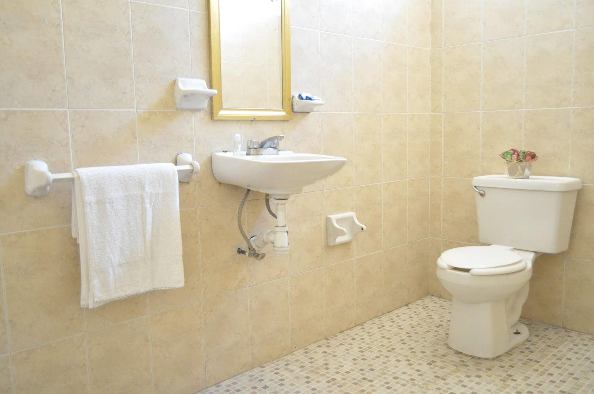 Hotel San Carlos Irapuato Dış mekan fotoğraf