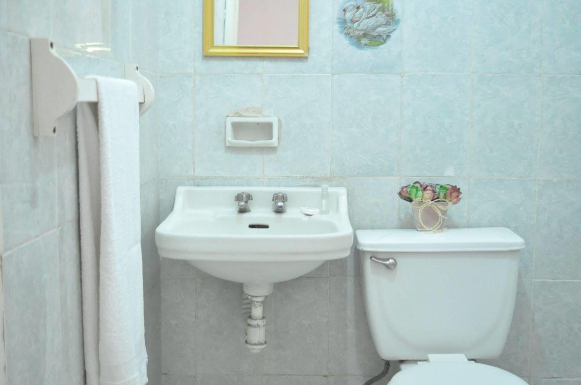 Hotel San Carlos Irapuato Dış mekan fotoğraf